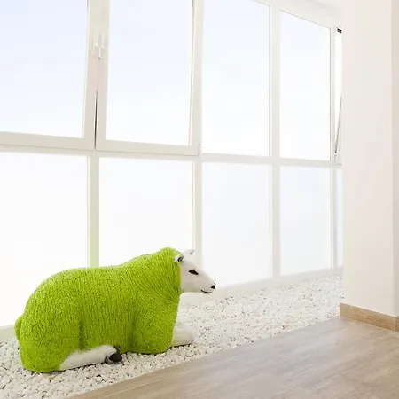 호스탈 마리